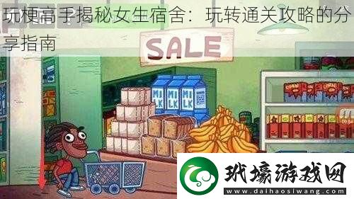 玩梗高手揭秘女生宿舍