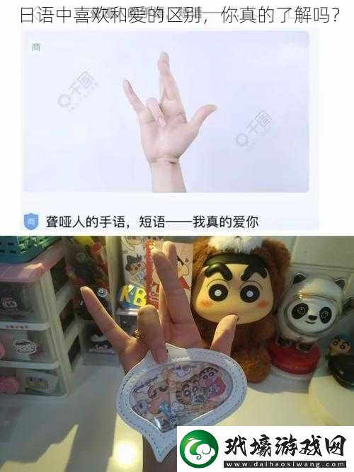 日語中喜歡和愛的區(qū)別，你真的了解嗎？