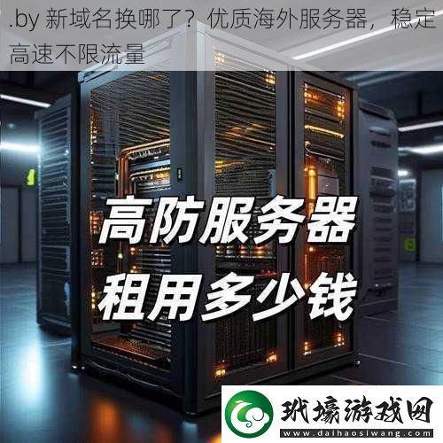 .by 新域名換哪了？?jī)?yōu)質(zhì)海外服務(wù)器，穩(wěn)定高速不限流量