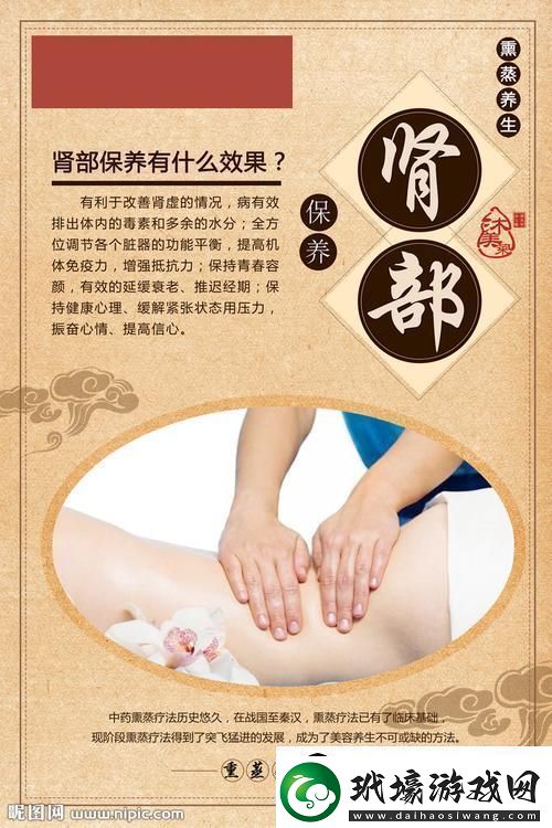 腎部保養(yǎng)竟成科技界“航天飛機”