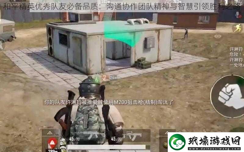 和平精英優(yōu)秀隊(duì)友必備品質(zhì)