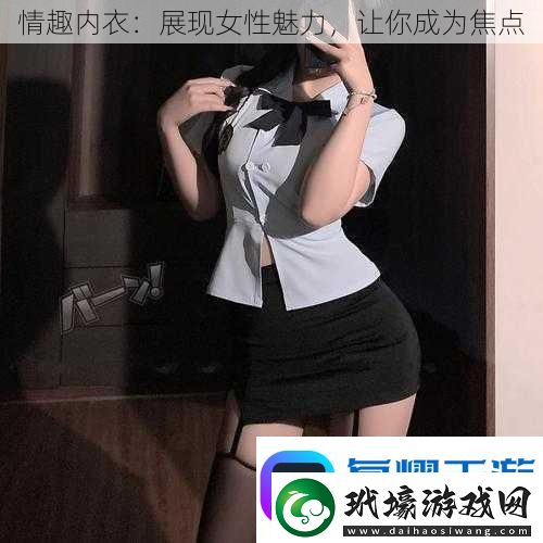 情趣內(nèi)衣