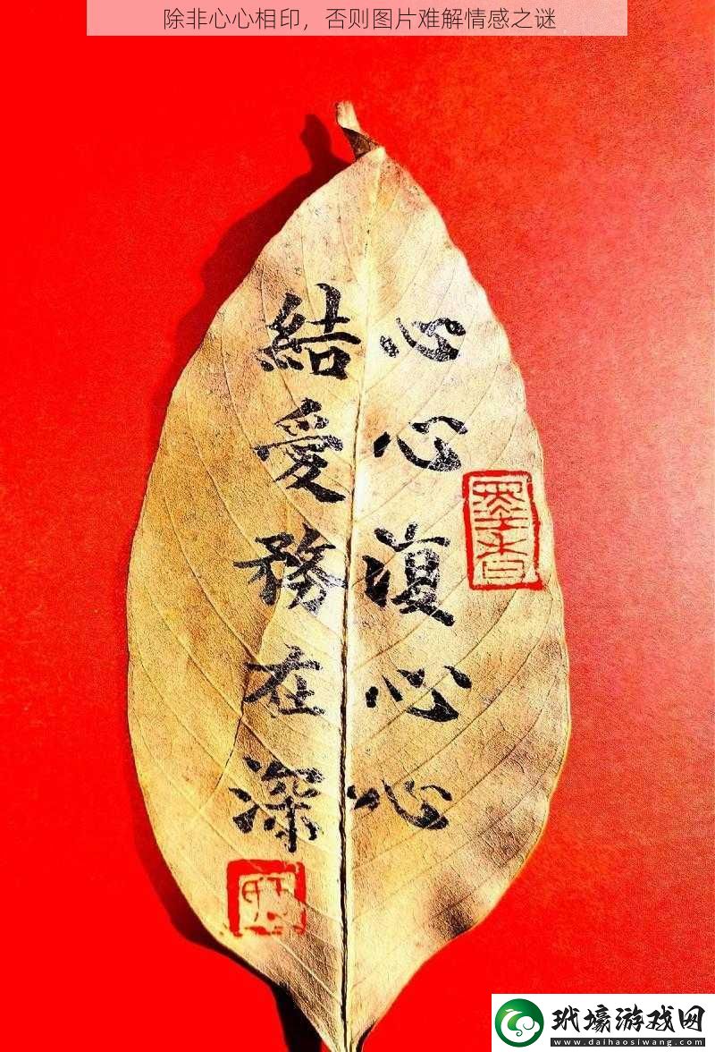 除非心心相印，否則圖片難解情感之謎