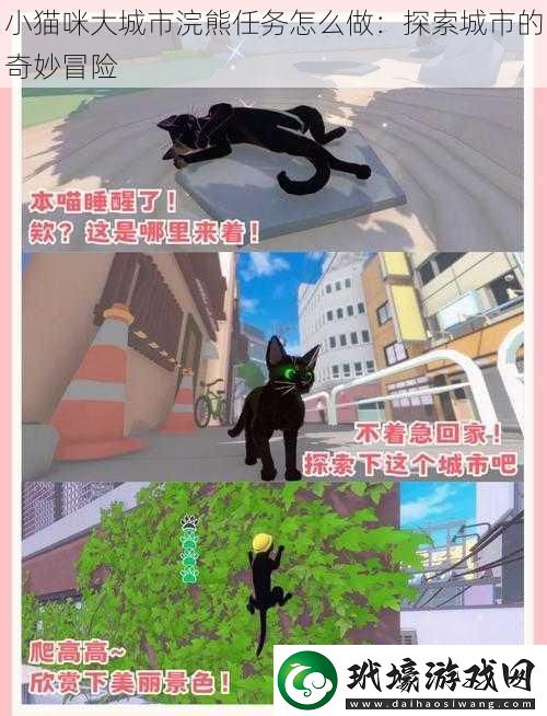 小貓咪大城市浣熊任務(wù)怎么做