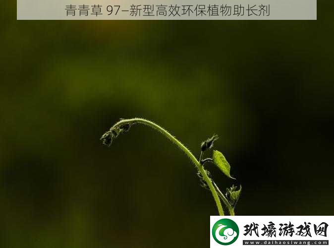 青青草97—新型高效環(huán)保植物助長(zhǎng)劑
