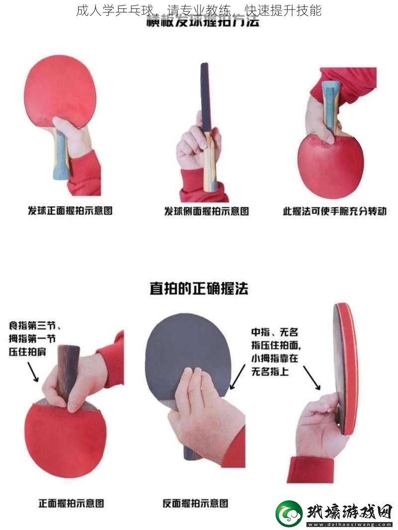 成人學乒乓球請專業(yè)教練快速提升技能