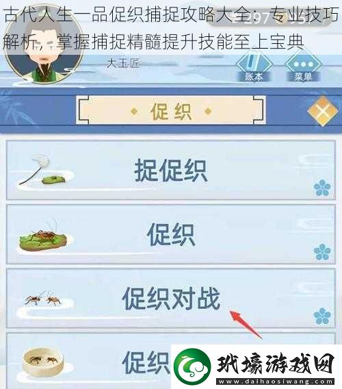 古代人生一品促織捕捉攻略大全